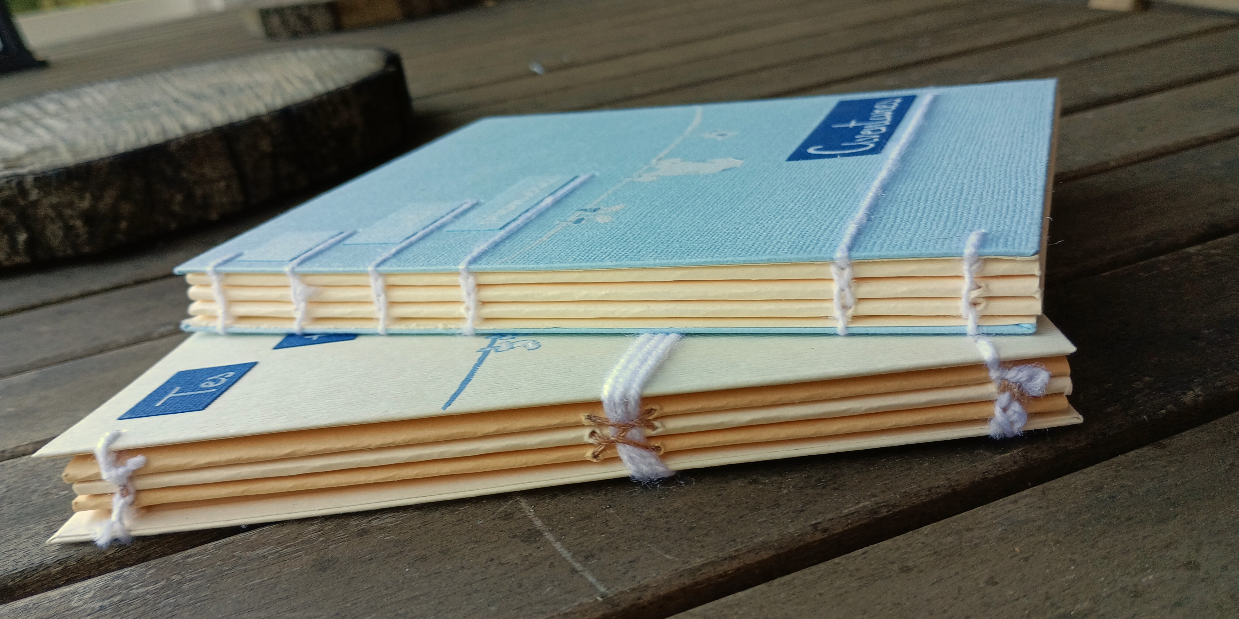 Dos des carnets "Tes toutes premières aventures"