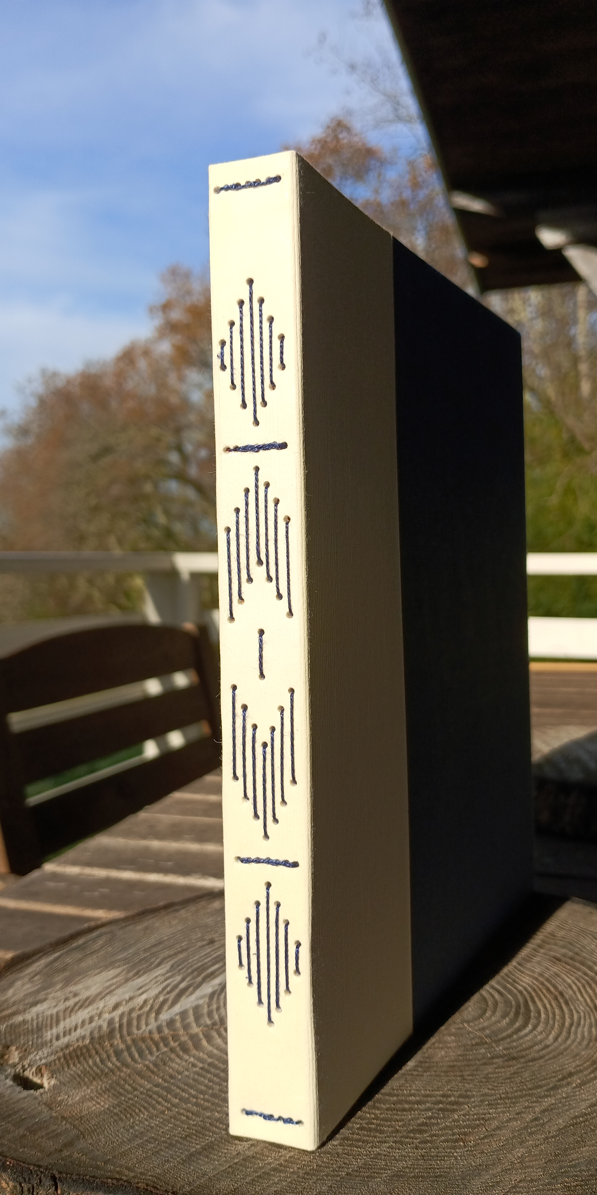 Petit album - bleu pétrole - dos